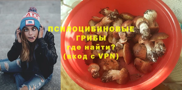 бошки Аркадак