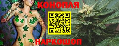 бошки Дубна