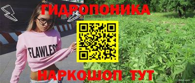 бошки Дубна