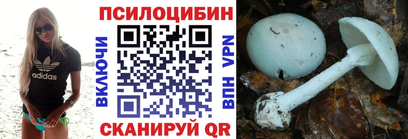 цены   Нефтекумск  kraken зеркало  Галлюциногенные грибы Magic Shrooms 