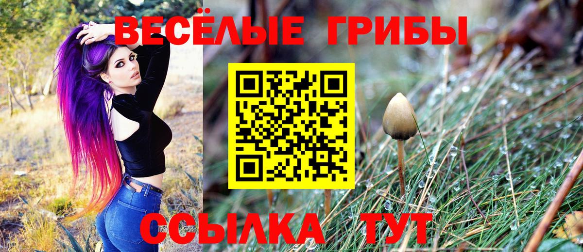 Галлюциногенные грибы Cubensis Нефтекумск