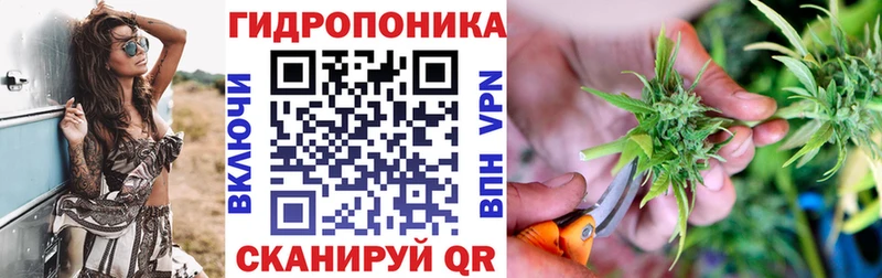 МАРИХУАНА ГИДРОПОН Нефтекумск